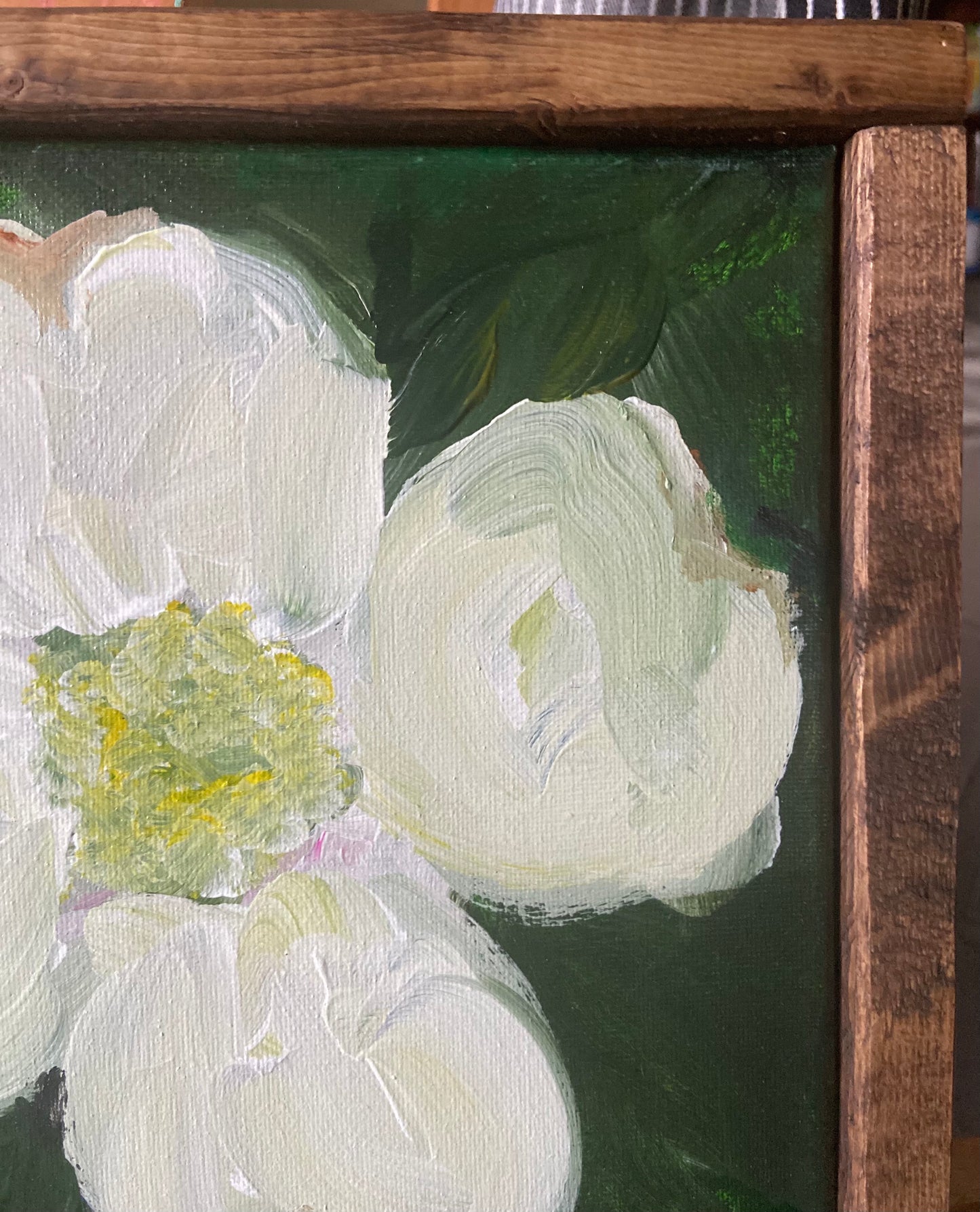 dogwood bloom