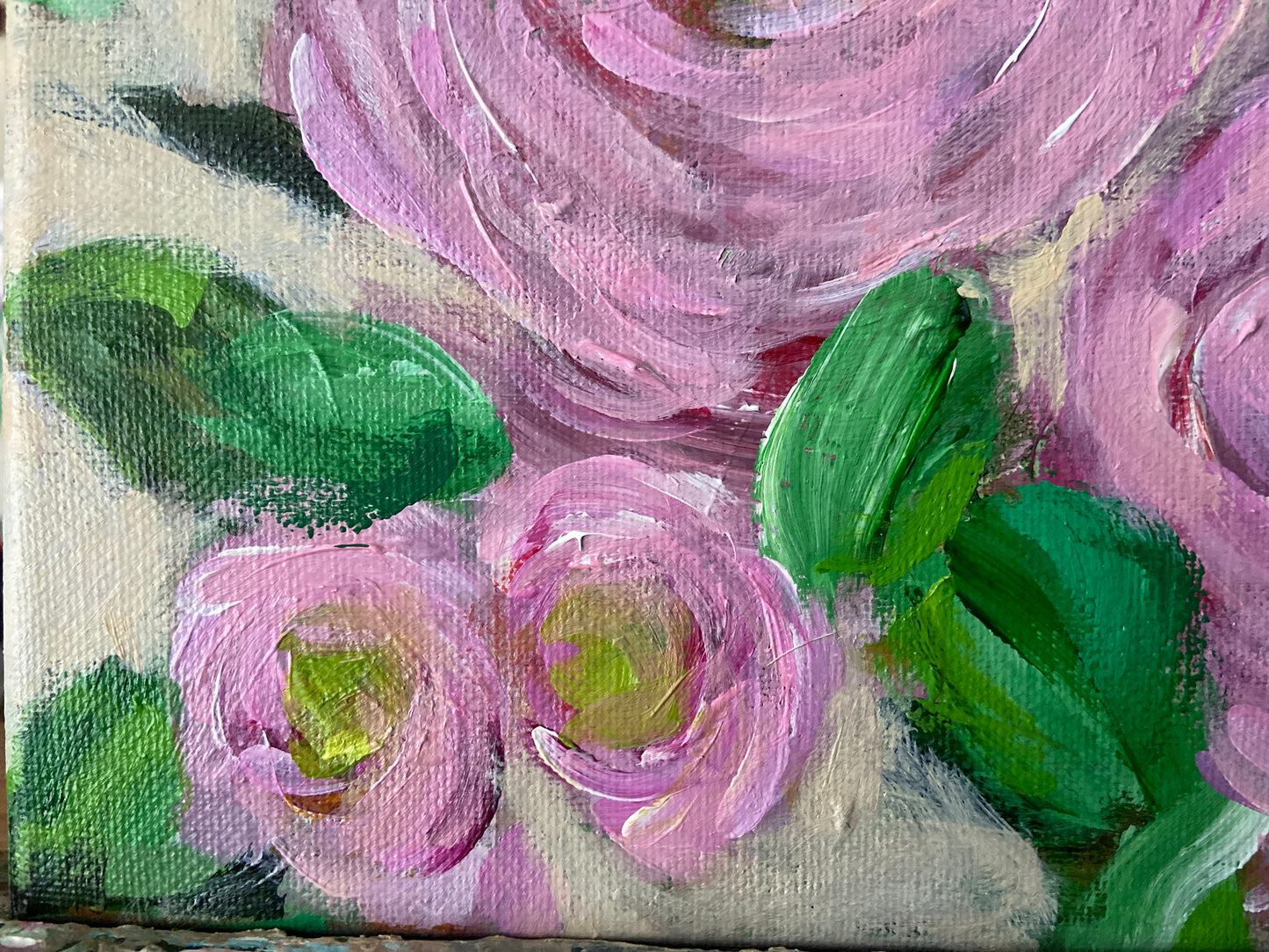 pink ranunculus