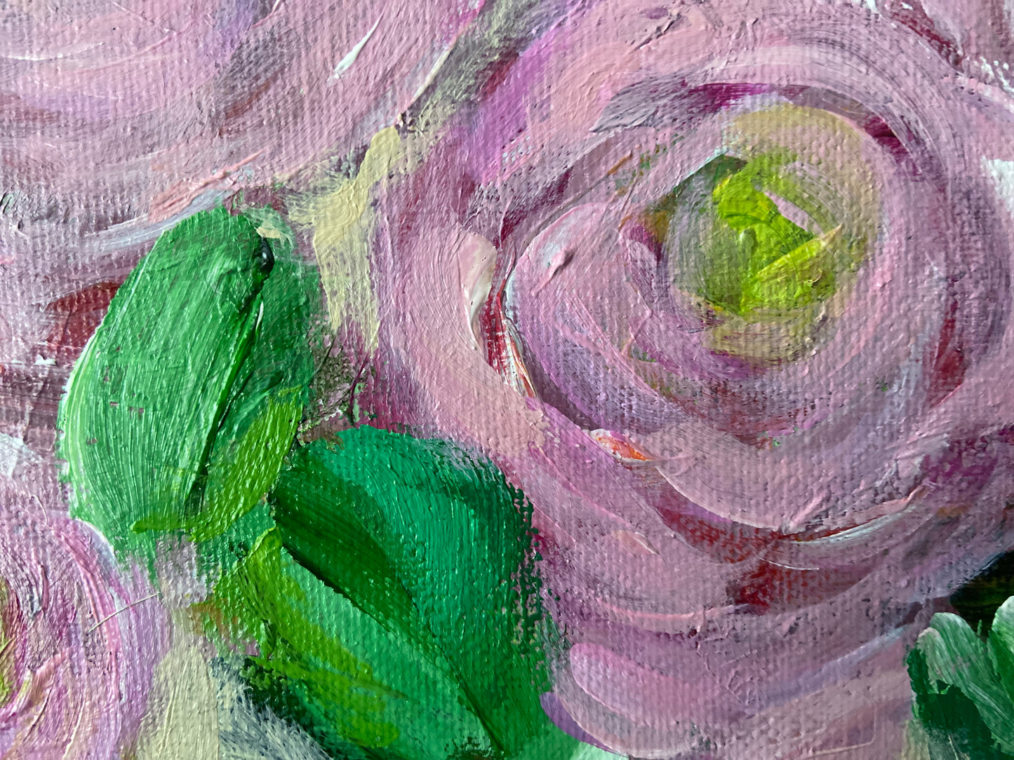 pink ranunculus
