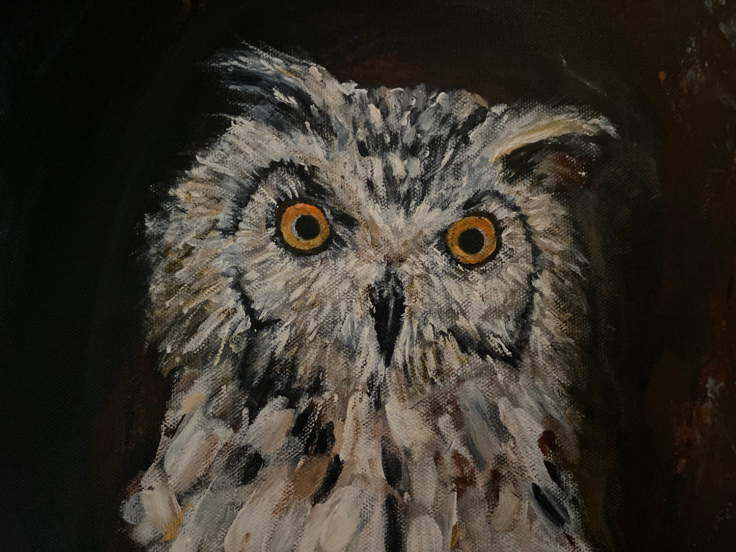 white owl