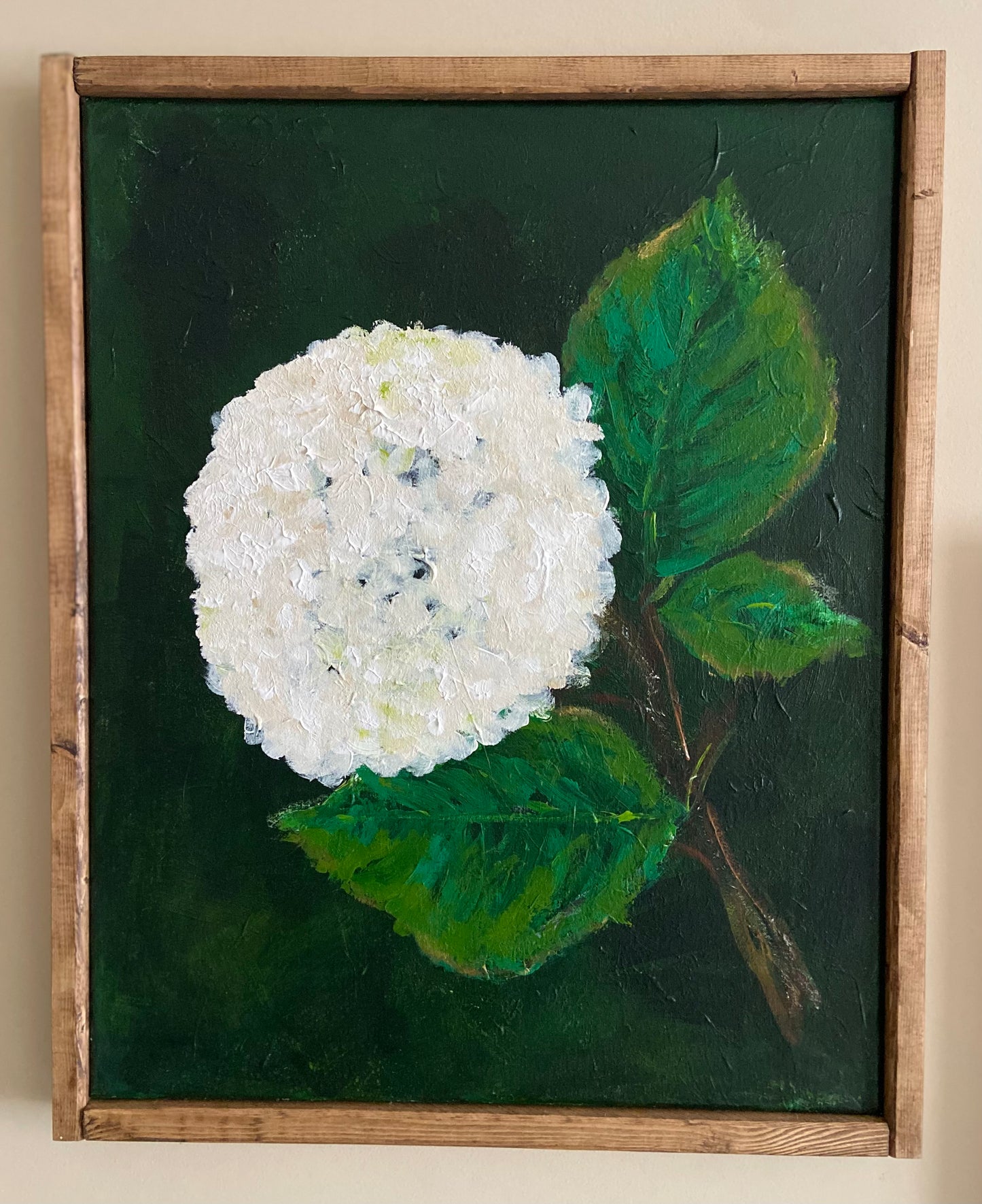 white hydrangea #1
