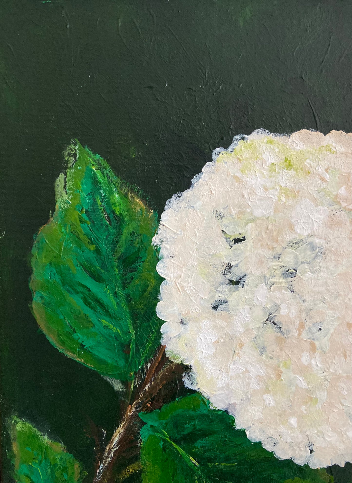 white hydrangea #2