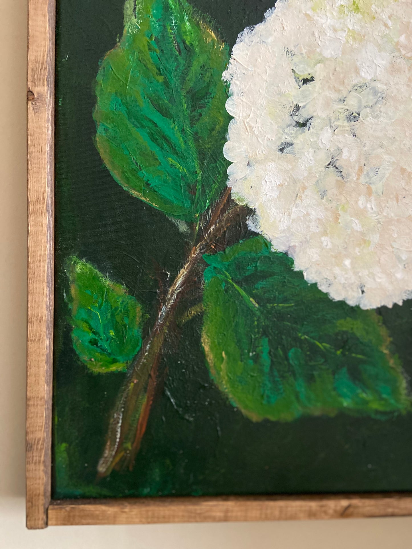 white hydrangea #2