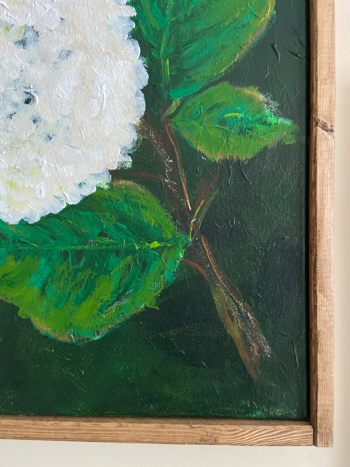 white hydrangea #1