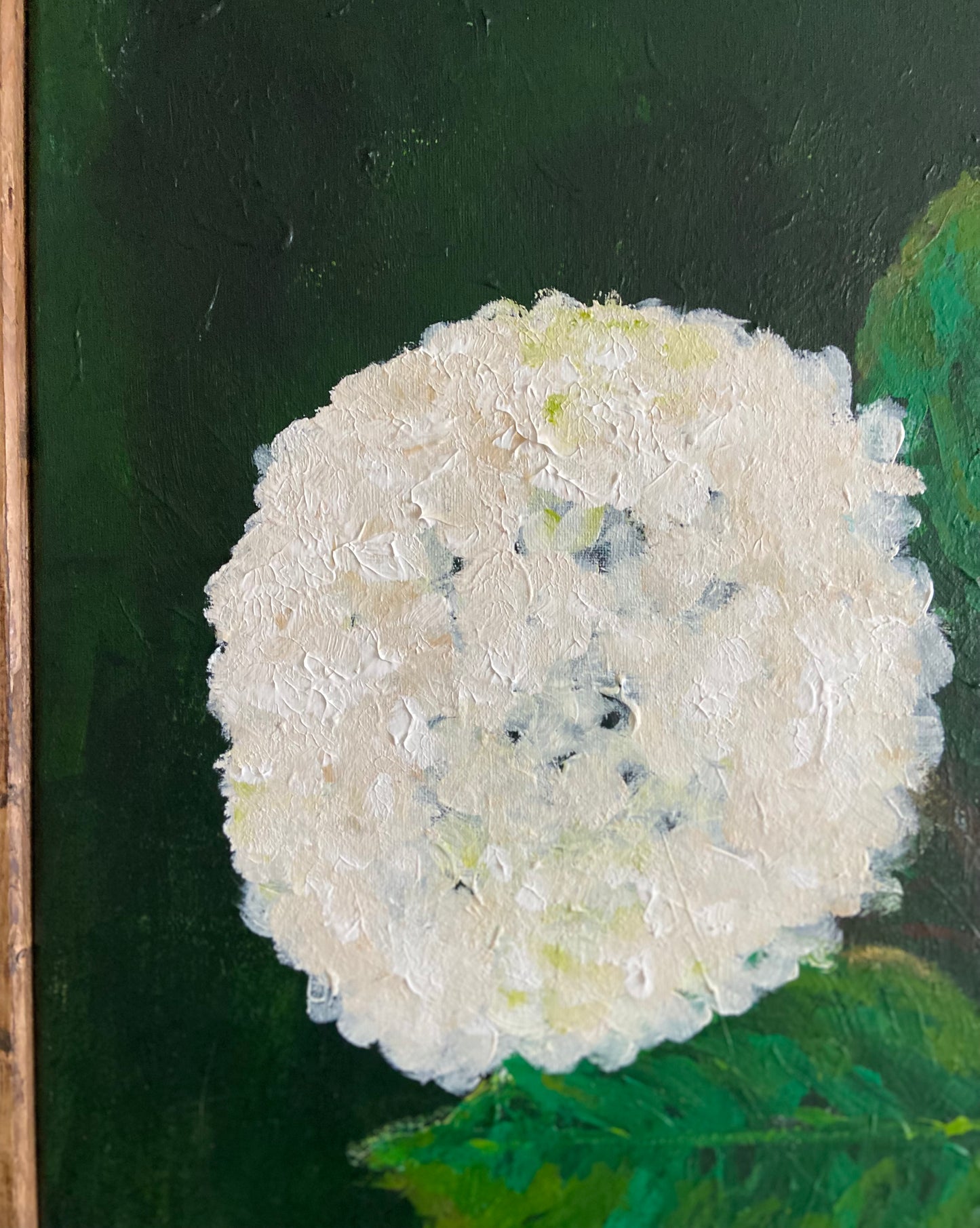 white hydrangea #1