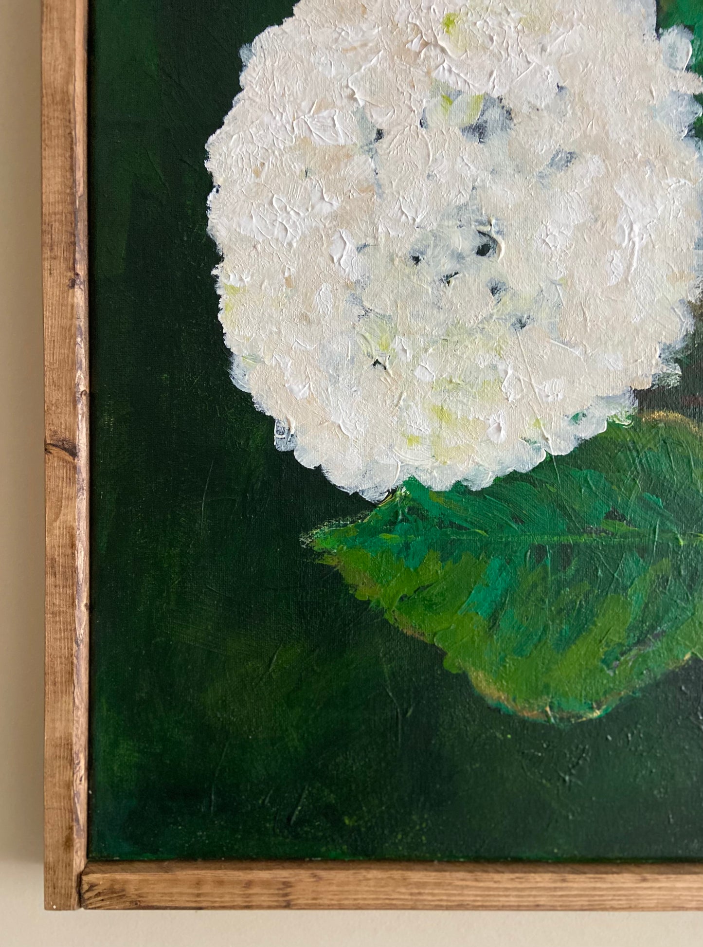 white hydrangea #1