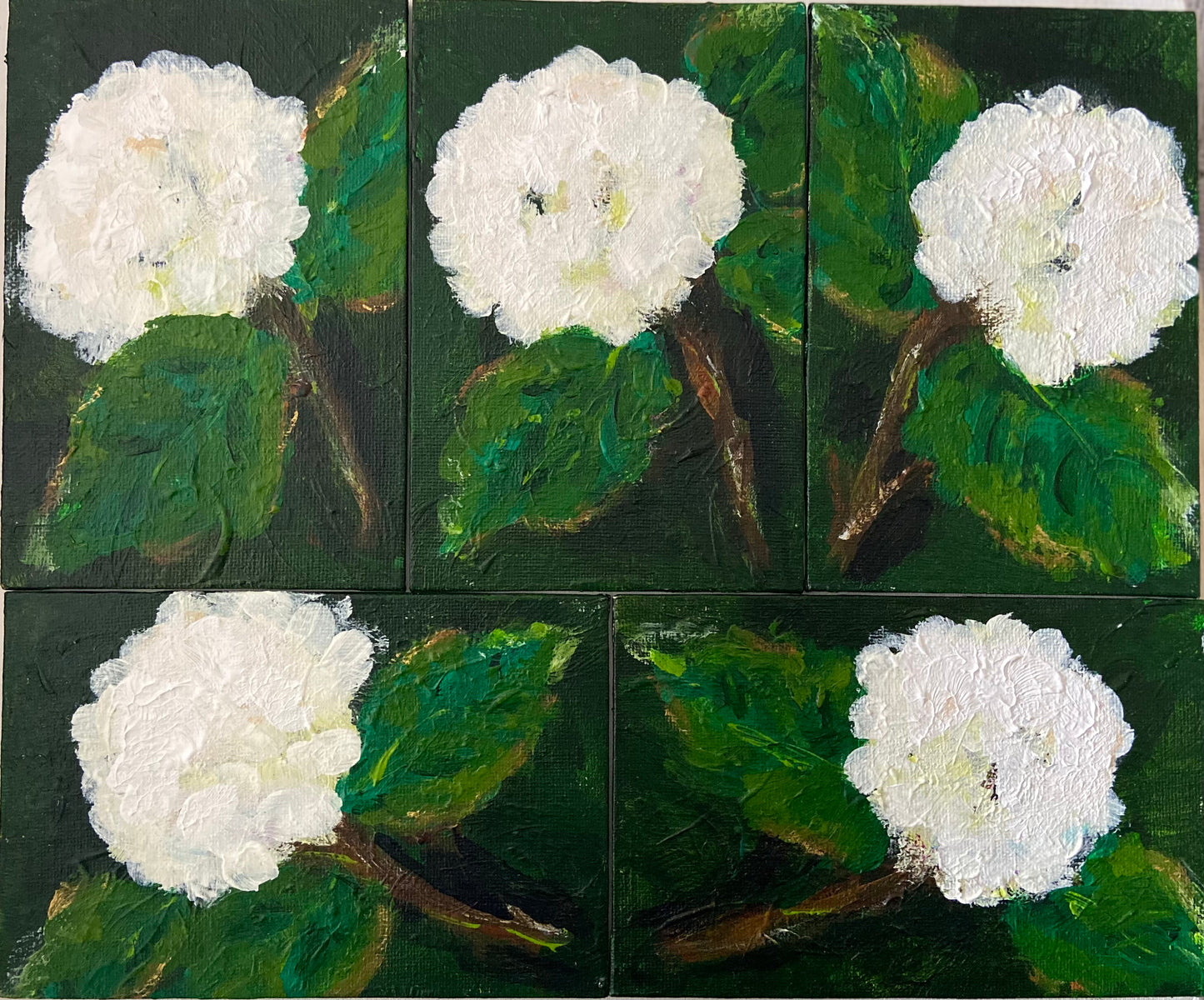 white hydrangea mini’s (5)