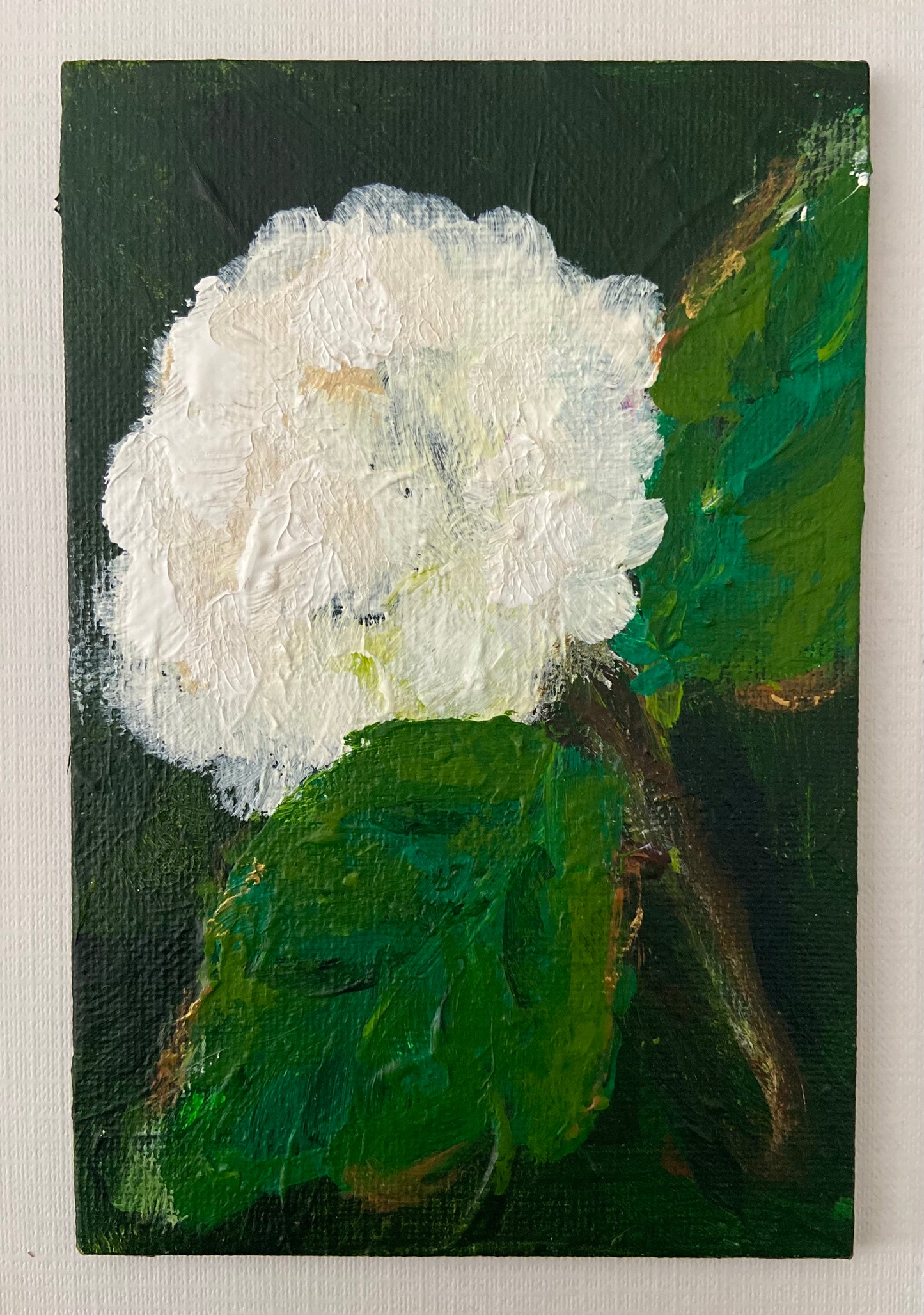 white hydrangea mini’s (5)