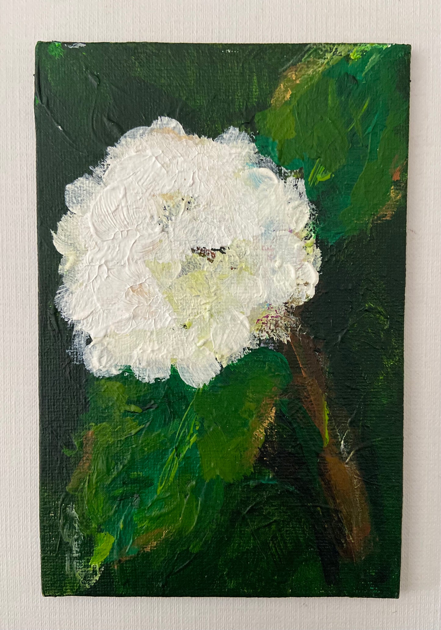 white hydrangea mini’s (5)