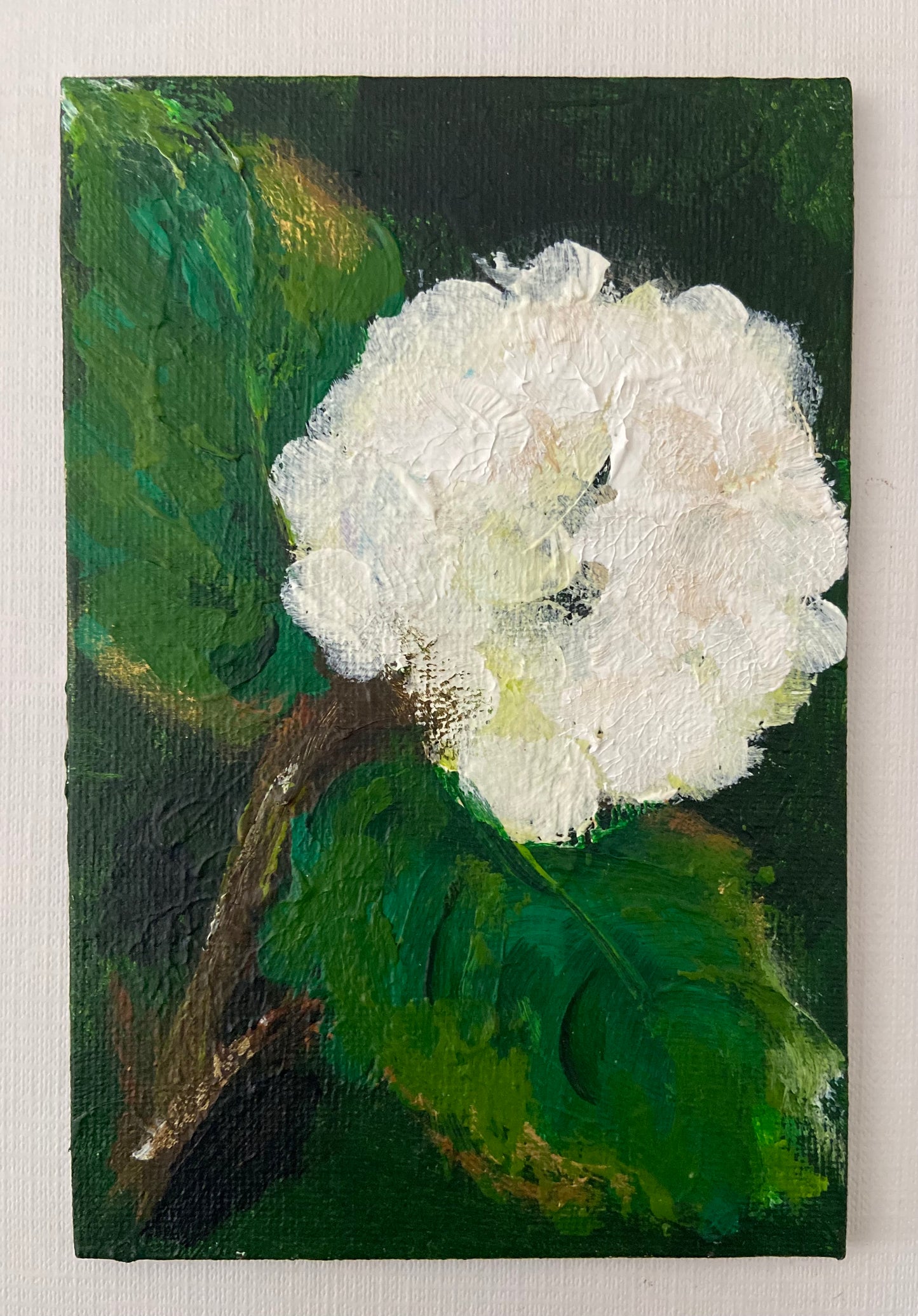 white hydrangea mini’s (5)