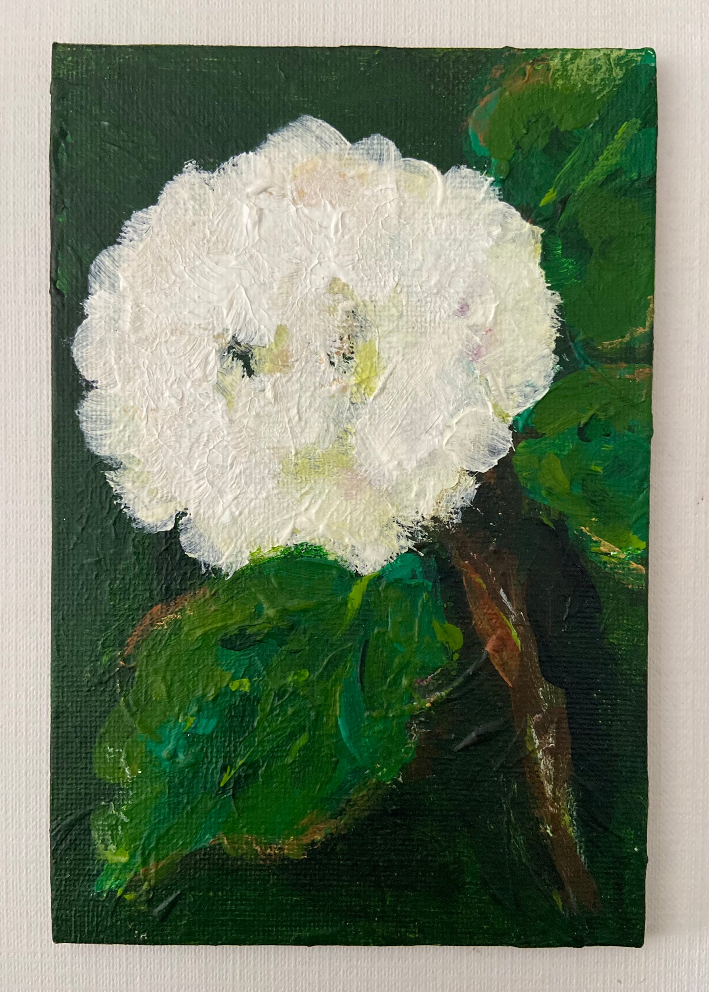 white hydrangea mini’s (5)