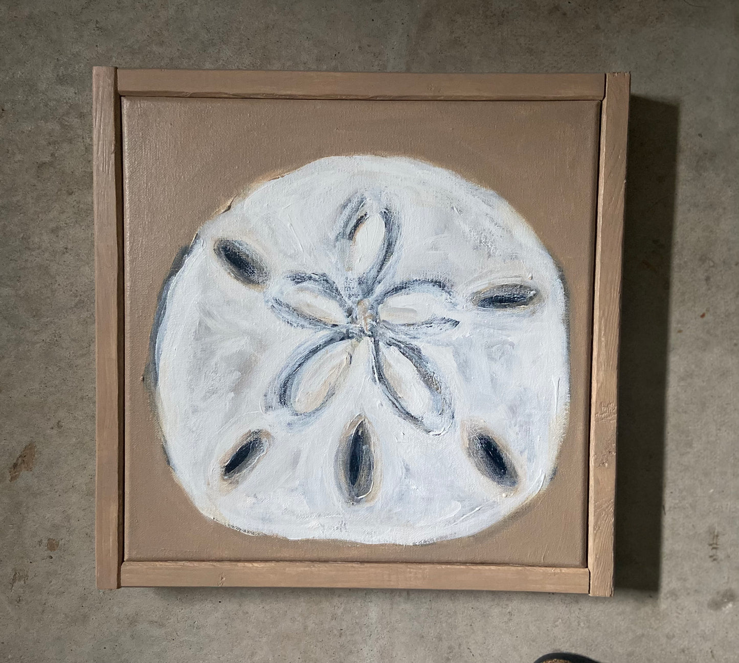 sand dollar - set of 3