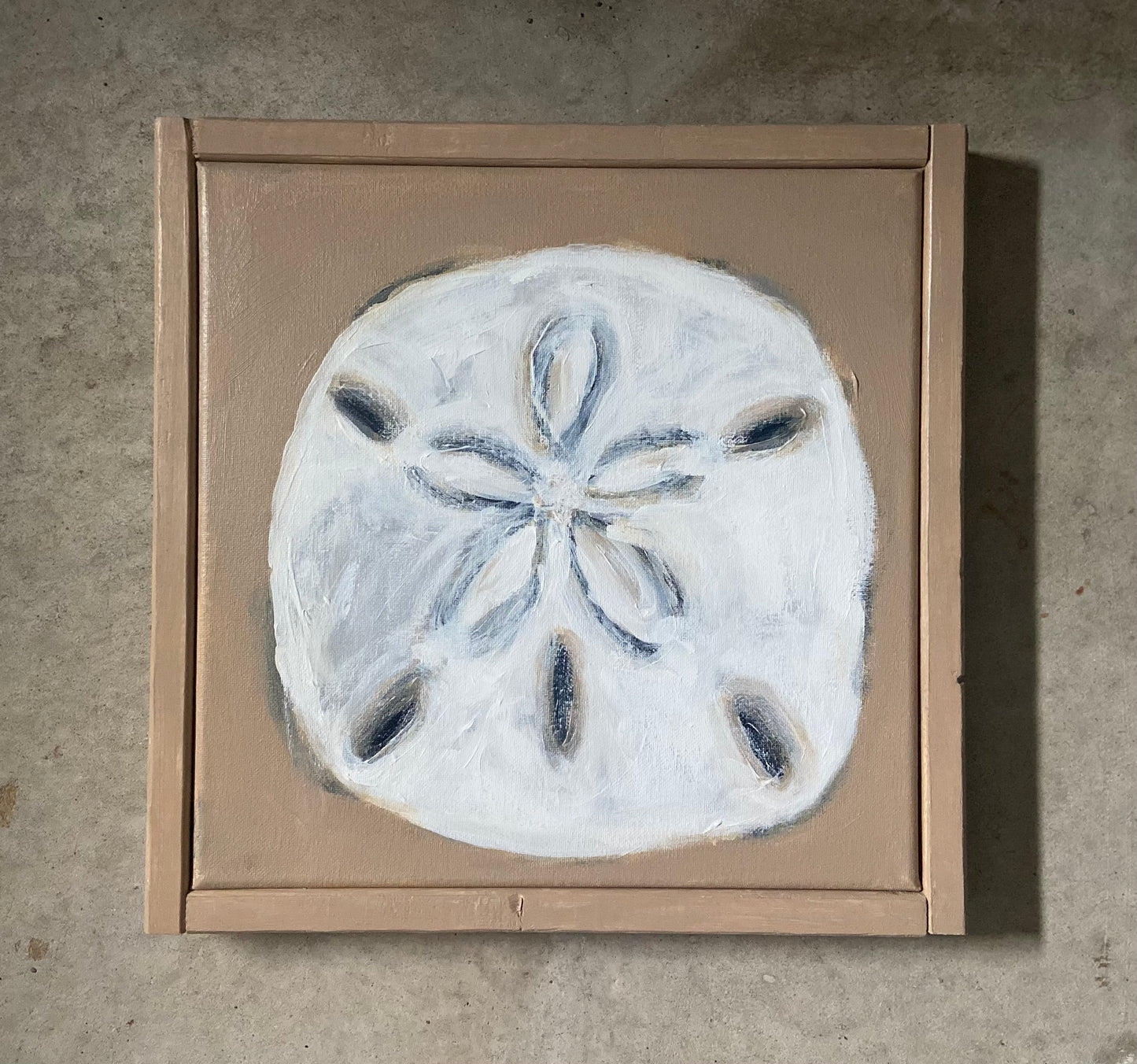 sand dollar - set of 3