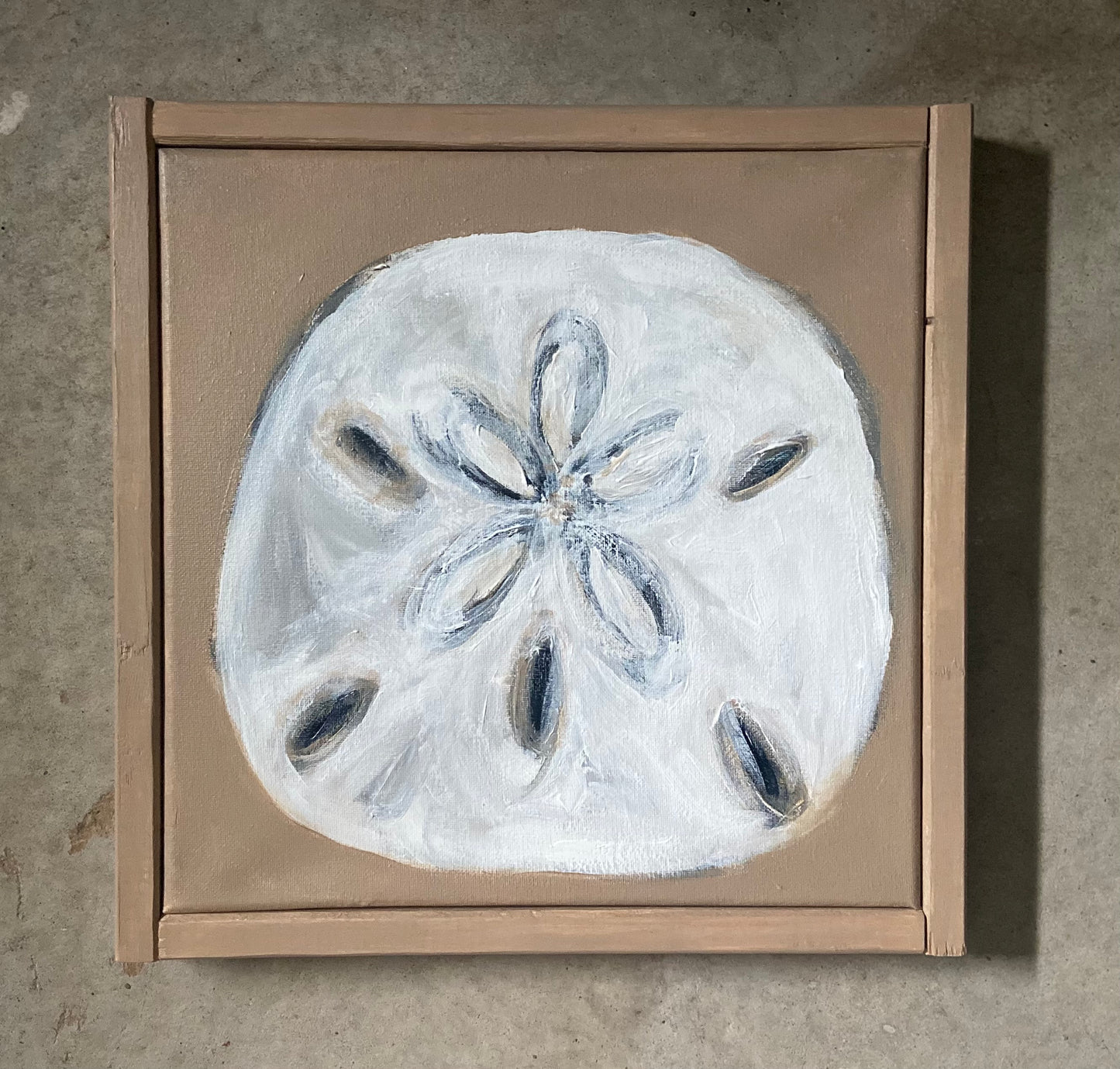 sand dollar - set of 3