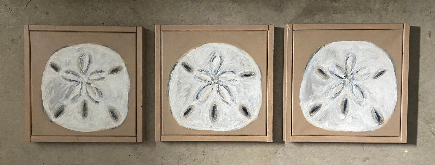 sand dollar - set of 3