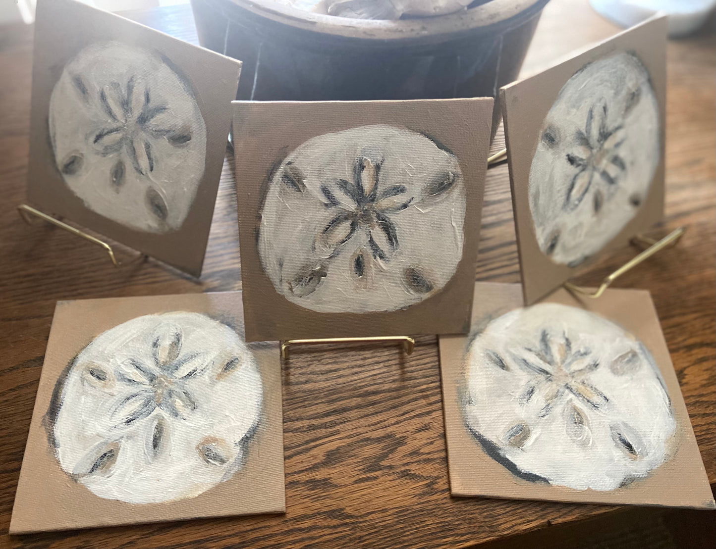 sand dollar mini’s