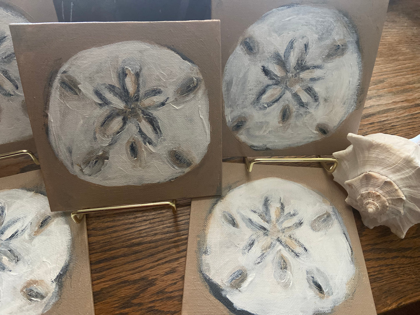 sand dollar mini’s