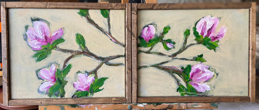 magnolia blooms - set