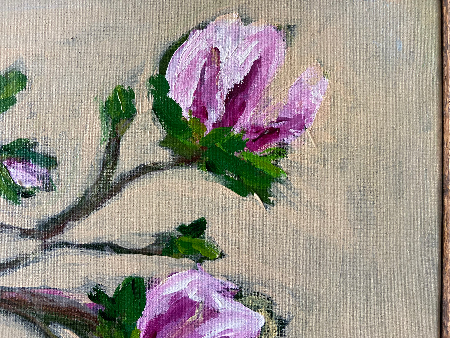 magnolia blooms - set