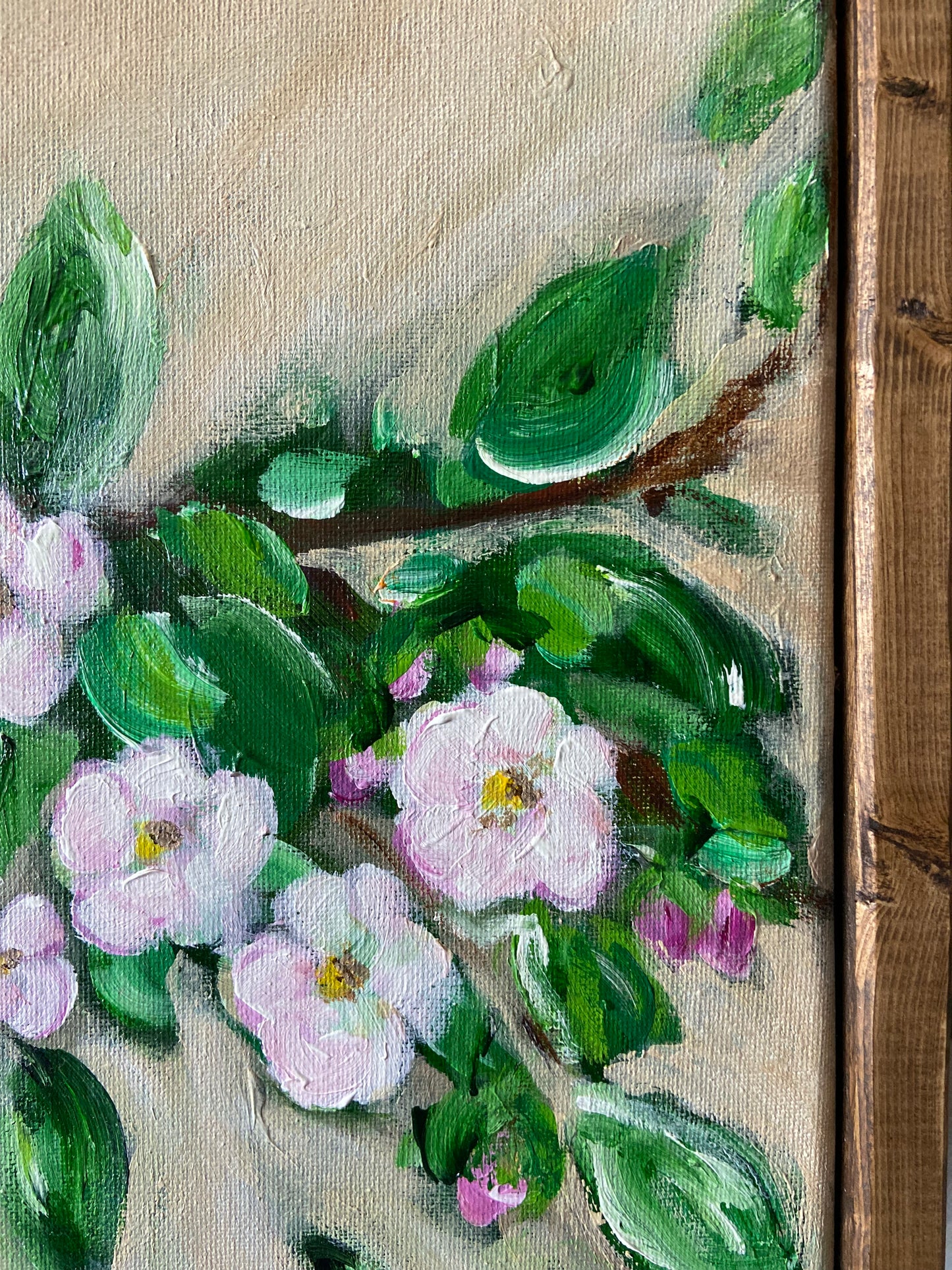 apple blossoms