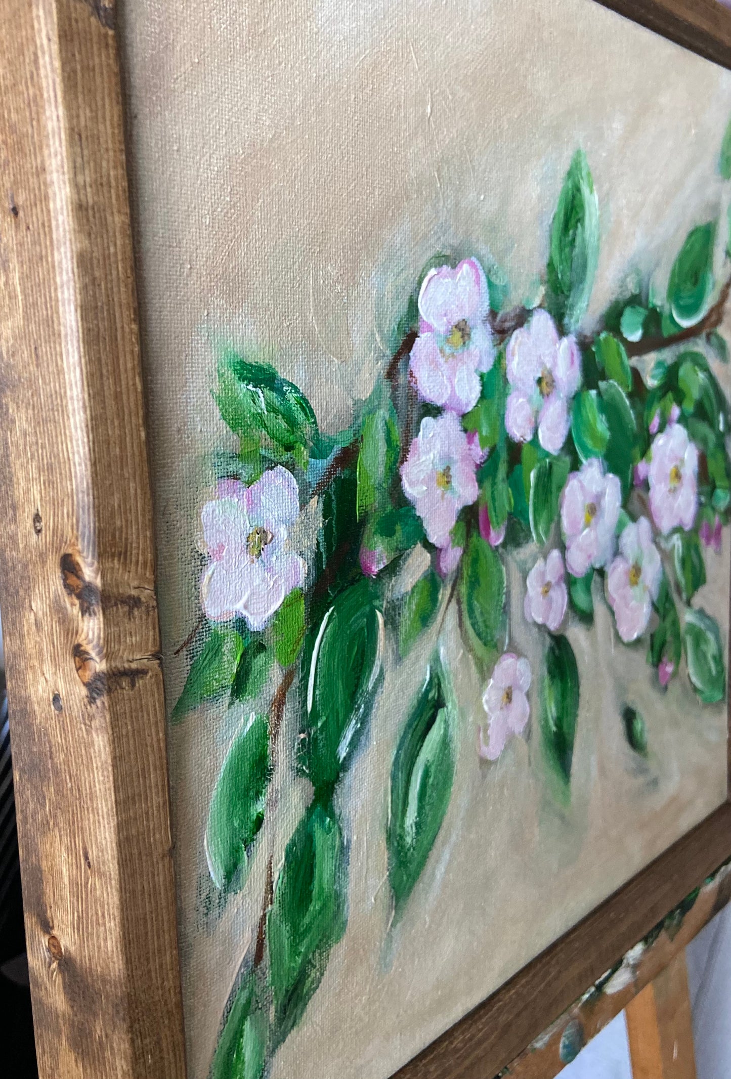 apple blossoms