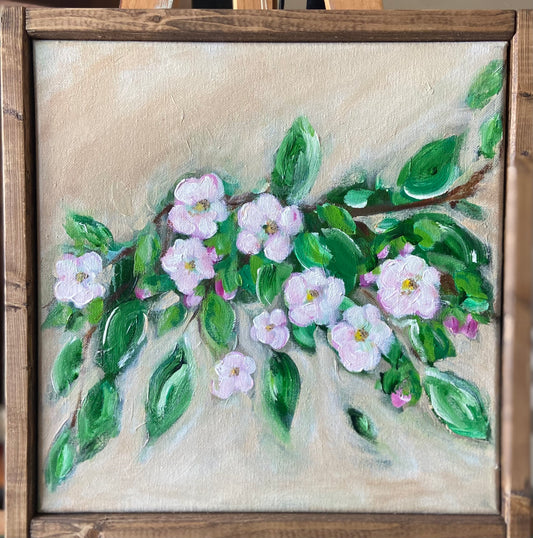 apple blossoms